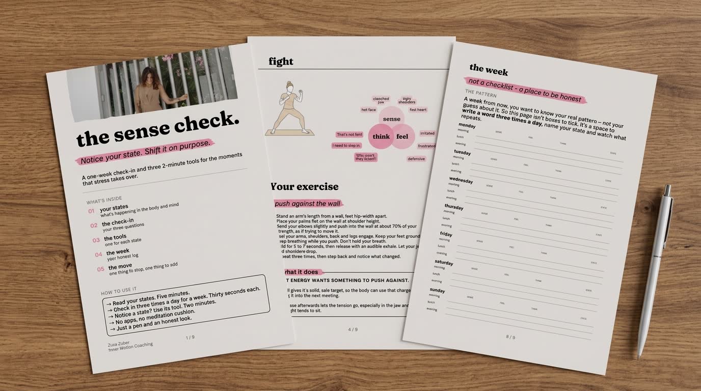 The sense check PDF: cover, the fight page and the weekly log